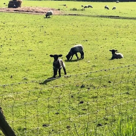 Country Close To The Sea Scarborough